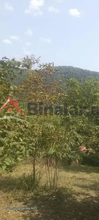 15 000 AZN - 0 sot Torpaq Satılır, Qax