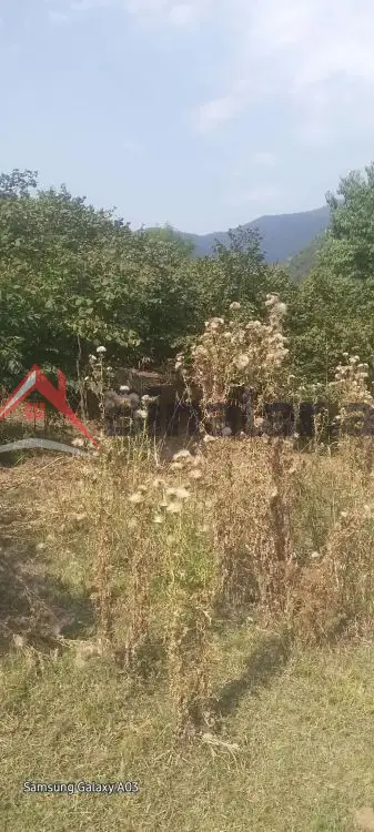 15 000 AZN - 0 sot Torpaq Satılır, Qax