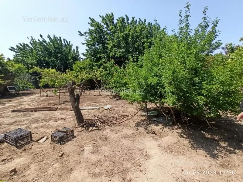 75 000 AZN - 6 sot Torpaq Satılır, Novxanı, Abşeron