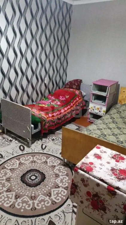 250 AZN - 3 otaqlı mənzil Kirayə (aylıq), Zaqatala