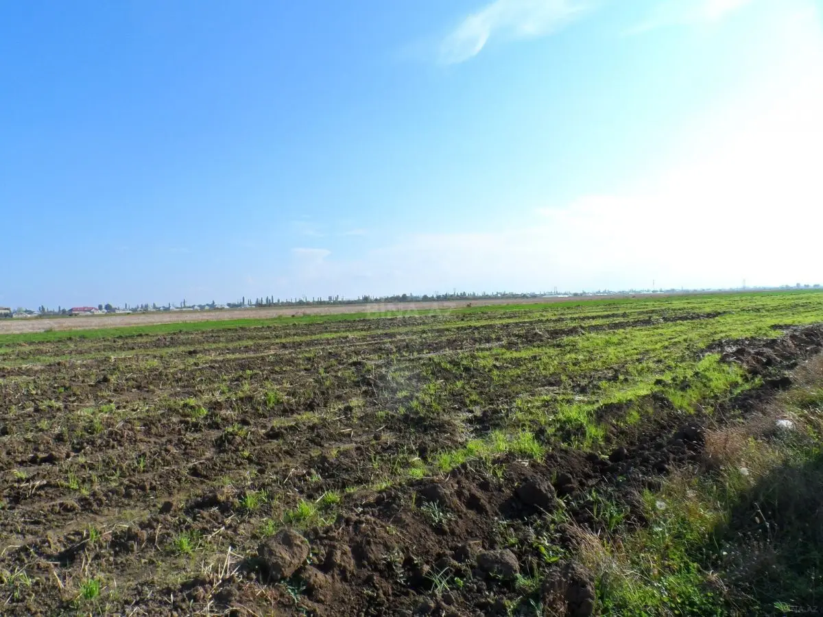 390 000 AZN - 646 sot Torpaq Satılır, Şəmkir