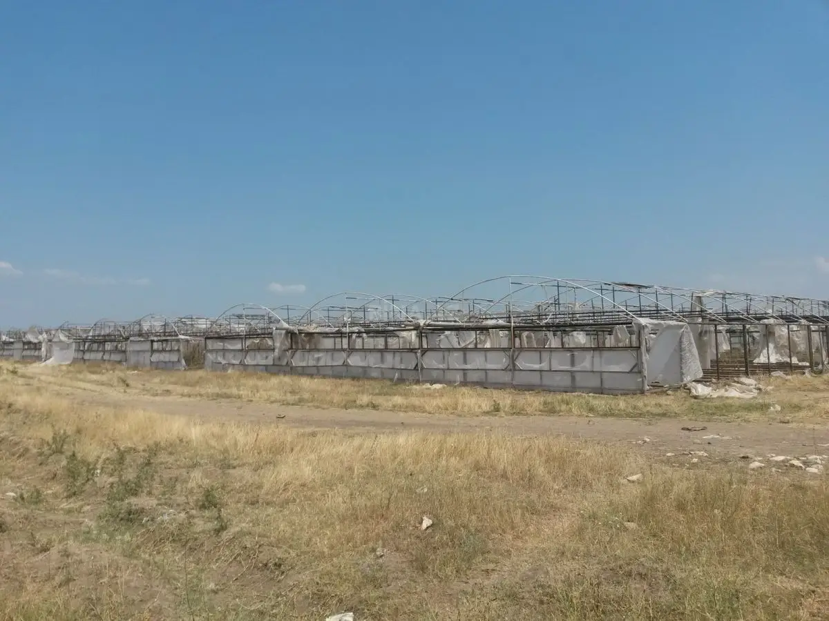 390 000 AZN - 646 sot Torpaq Satılır, Şəmkir