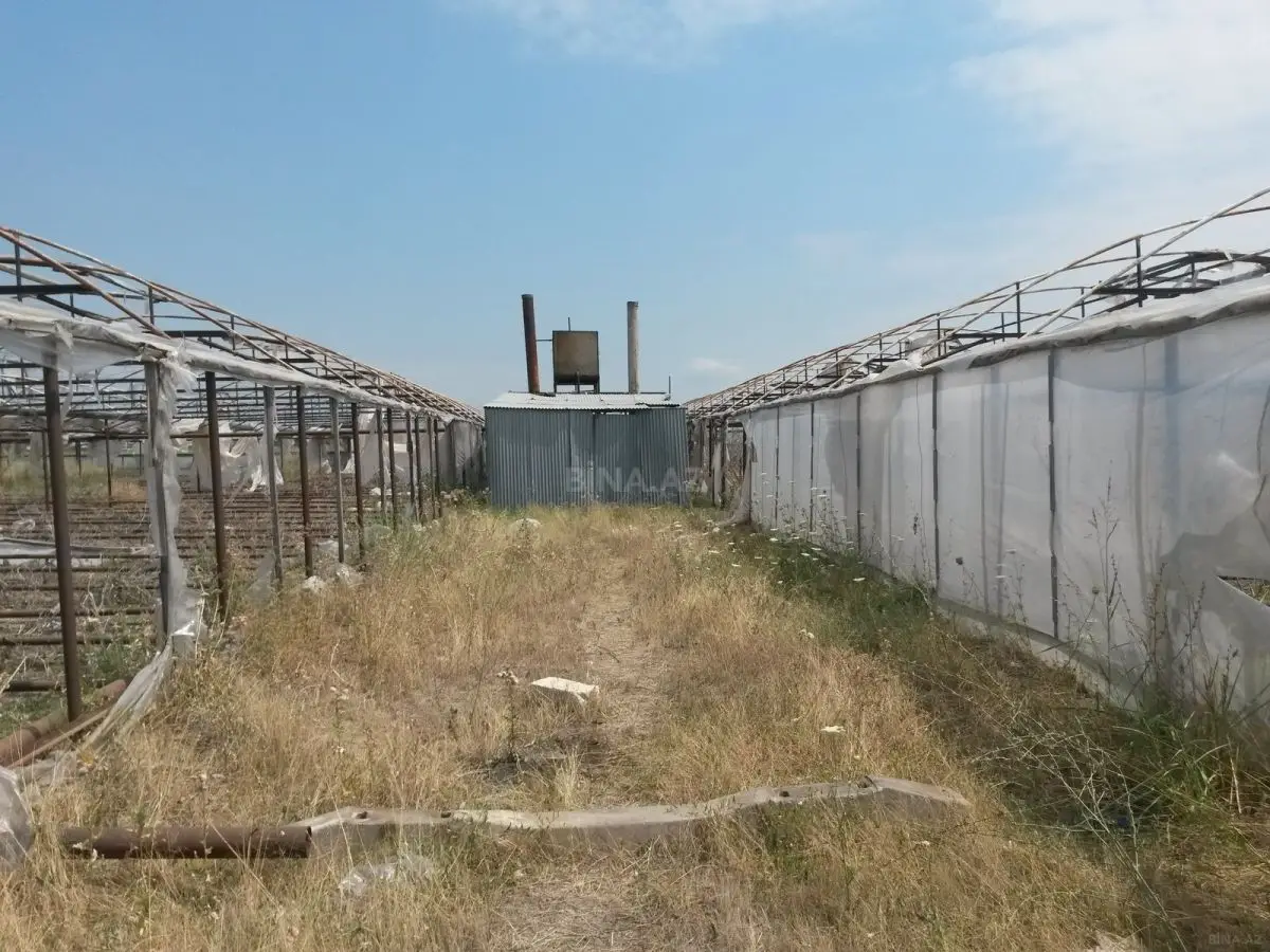 390 000 AZN - 646 sot Torpaq Satılır, Şəmkir