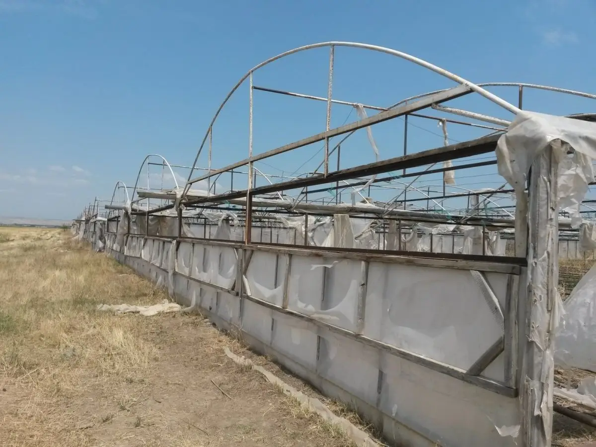 390 000 AZN - 646 sot Torpaq Satılır, Şəmkir
