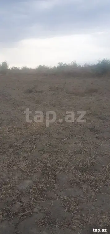 60 000 AZN - 0 m² Obyekt / Ofis , Sabirabad
