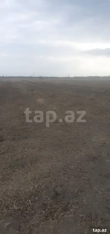 60 000 AZN - 0 m² Obyekt / Ofis , Sabirabad
