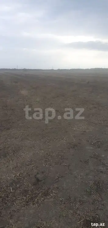 60 000 AZN - 0 m² Obyekt / Ofis , Sabirabad