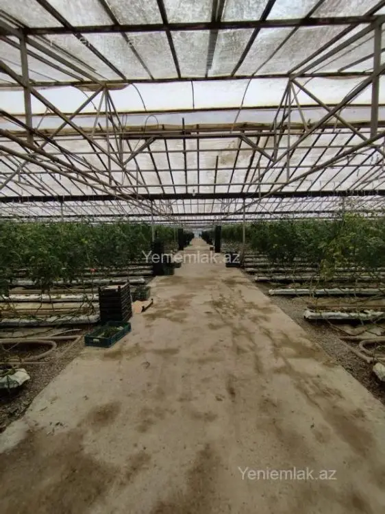 6 000 000 AZN - 220000 m² Obyekt / Ofis Satılır, Türkan, Xəzər, Bakı