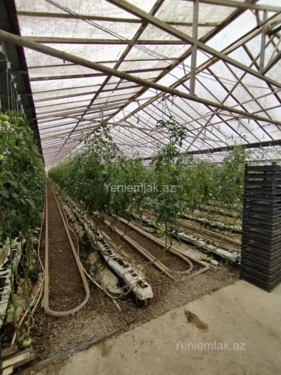 6 000 000 AZN - 220000 m² Obyekt / Ofis Satılır, Türkan, Xəzər, Bakı