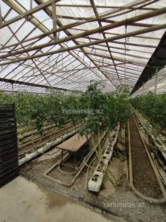 6 000 000 AZN - 220000 m² Obyekt / Ofis Satılır, Türkan, Xəzər, Bakı
