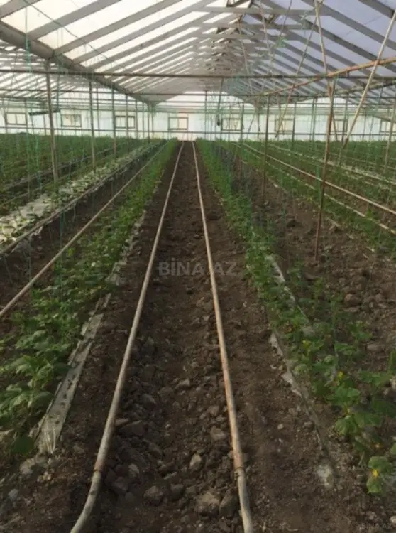 310 000 AZN - 60000 m² Obyekt / Ofis Satılır, Salyan
