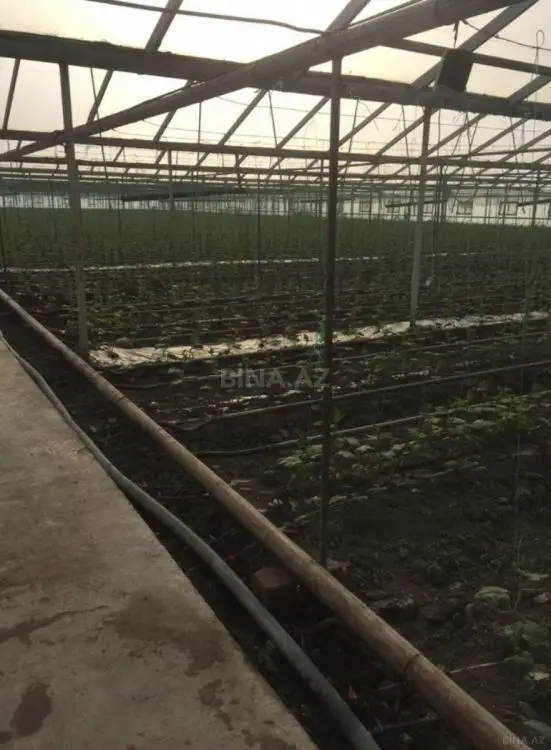 310 000 AZN - 60000 m² Obyekt / Ofis Satılır, Salyan