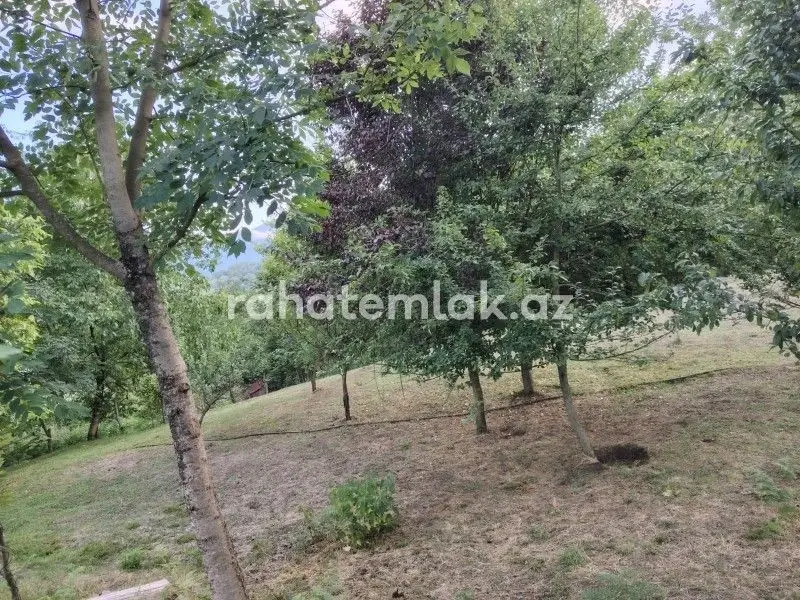 5 500 AZN - 0 sot Torpaq Satılır, Lerik