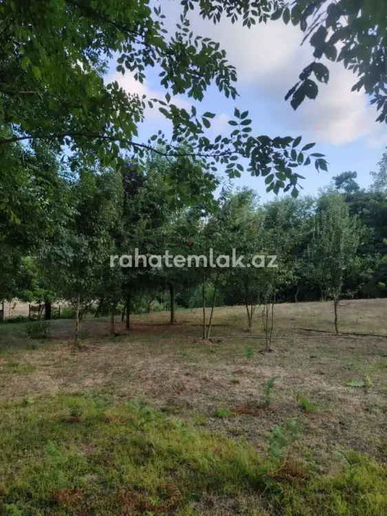 5 500 AZN - 0 sot Torpaq Satılır, Lerik