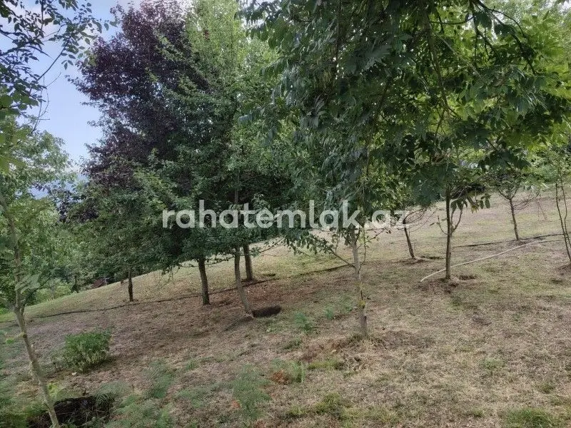 5 500 AZN - 0 sot Torpaq Satılır, Lerik