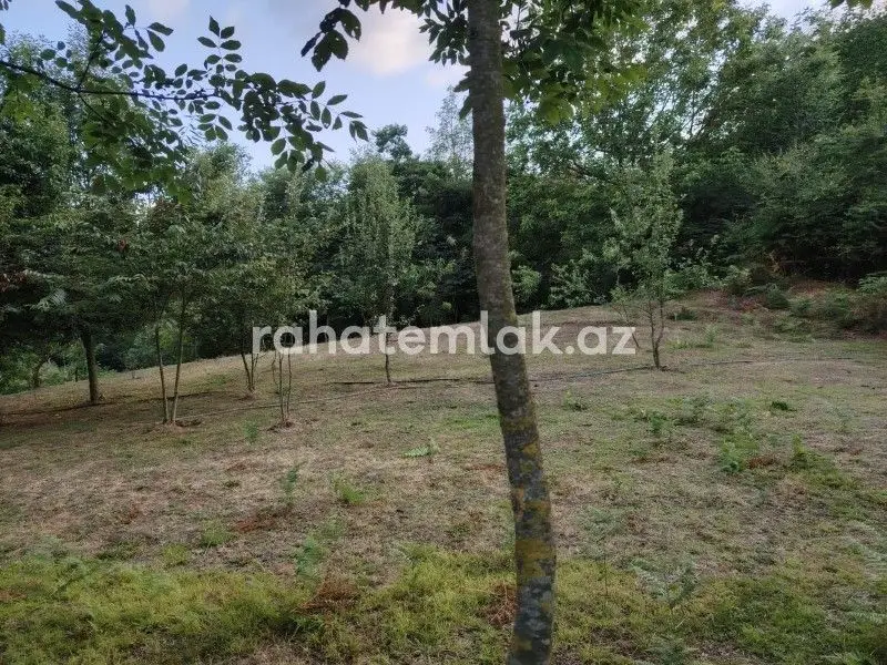 5 500 AZN - 0 sot Torpaq Satılır, Lerik