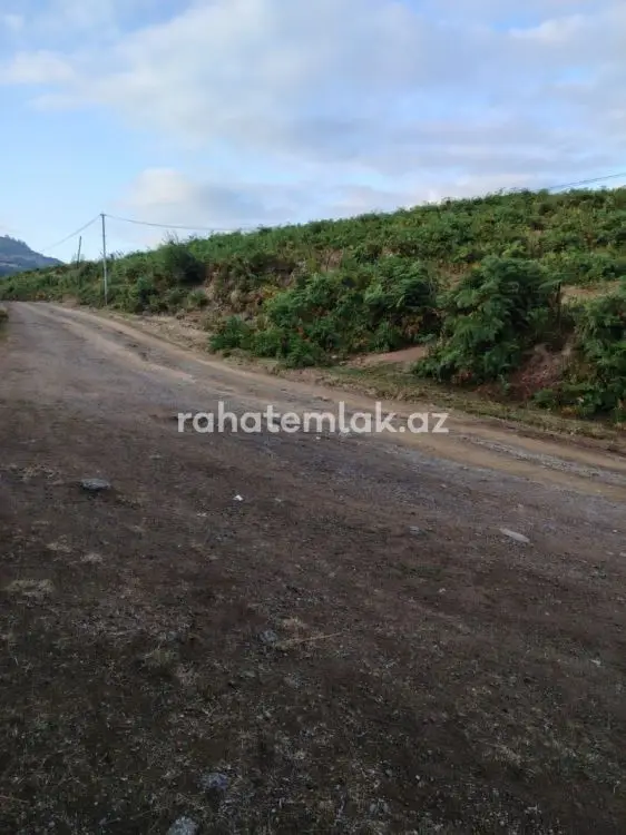 5 500 AZN - 0 sot Torpaq Satılır, Lerik