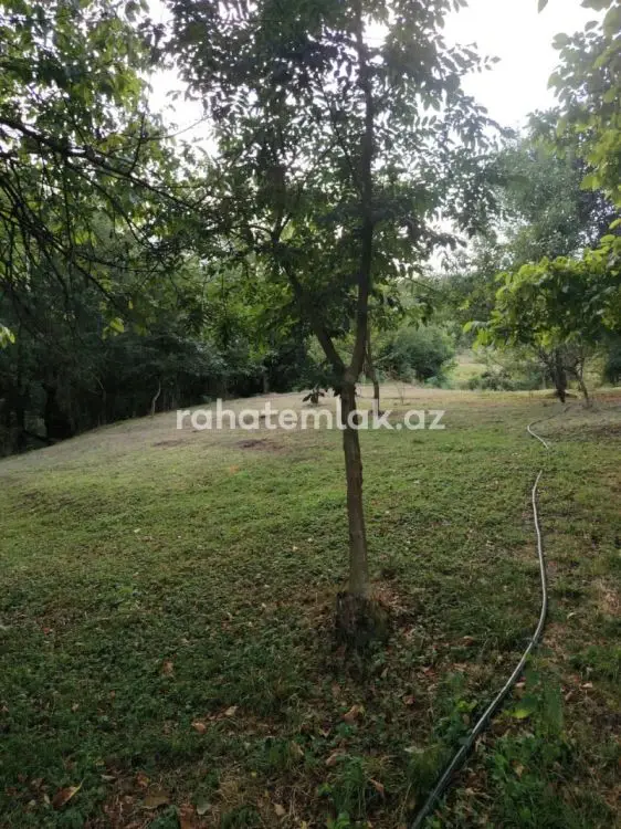 5 500 AZN - 0 sot Torpaq Satılır, Lerik