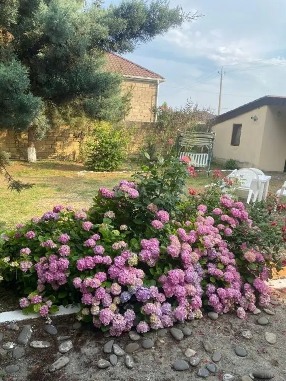 99 000 AZN - 4 otaqlı mənzil Satılır, Nabran