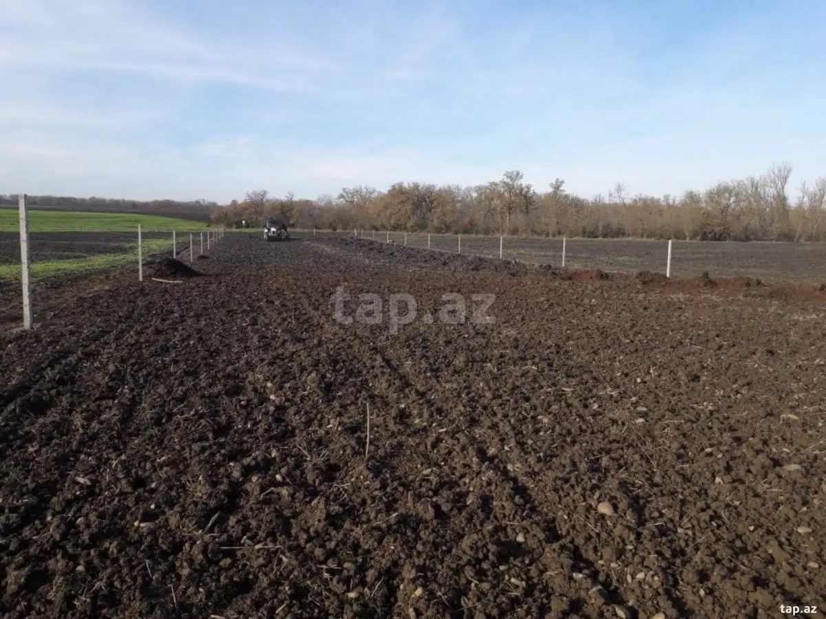 36 000 AZN - 0 m² Obyekt / Ofis , Nabran