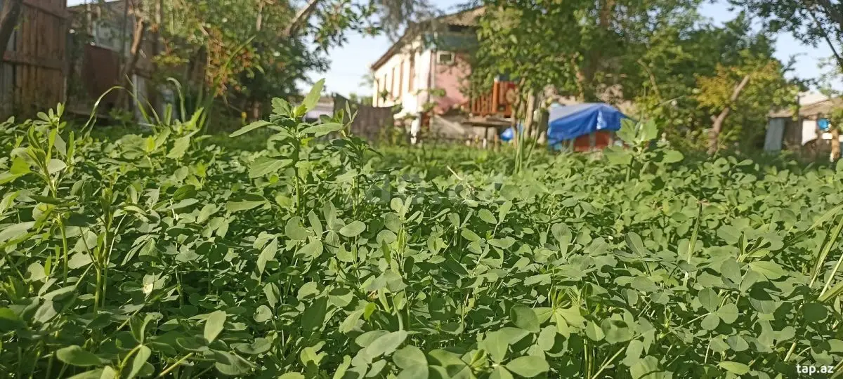 45 000 AZN - 3 otaqlı mənzil , Yevlax