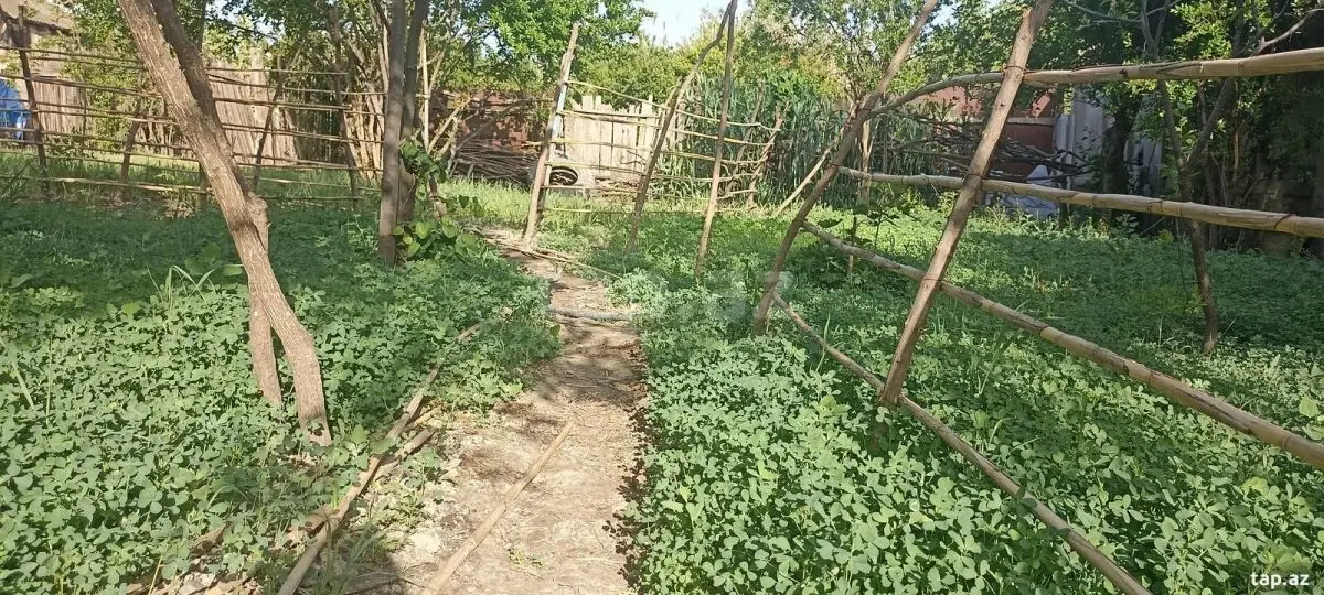 45 000 AZN - 3 otaqlı mənzil , Yevlax