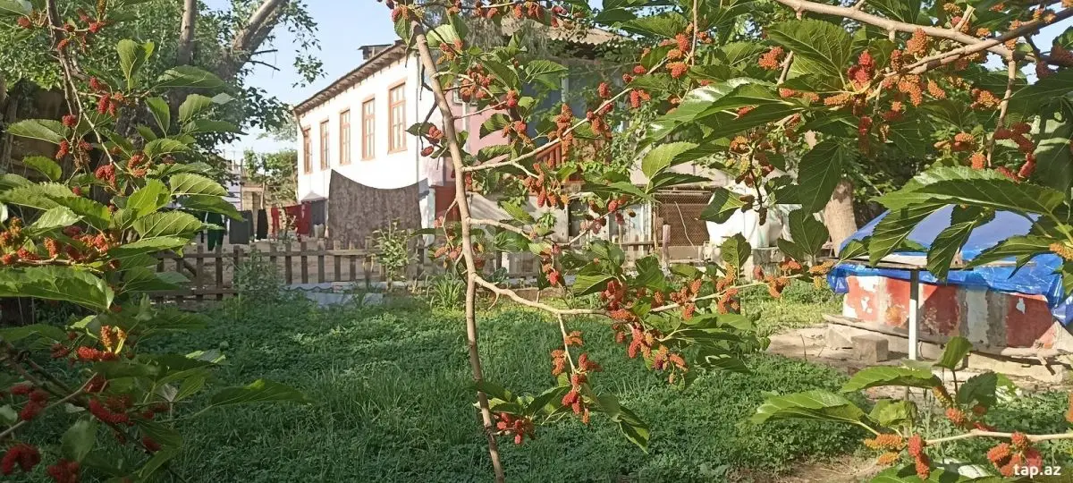 45 000 AZN - 3 otaqlı mənzil , Yevlax