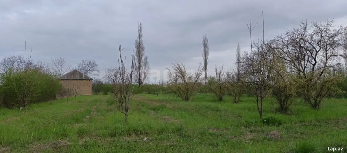36 000 AZN - 0 m² Obyekt / Ofis , Xudat