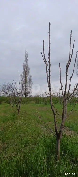 36 000 AZN - 0 m² Obyekt / Ofis , Xudat