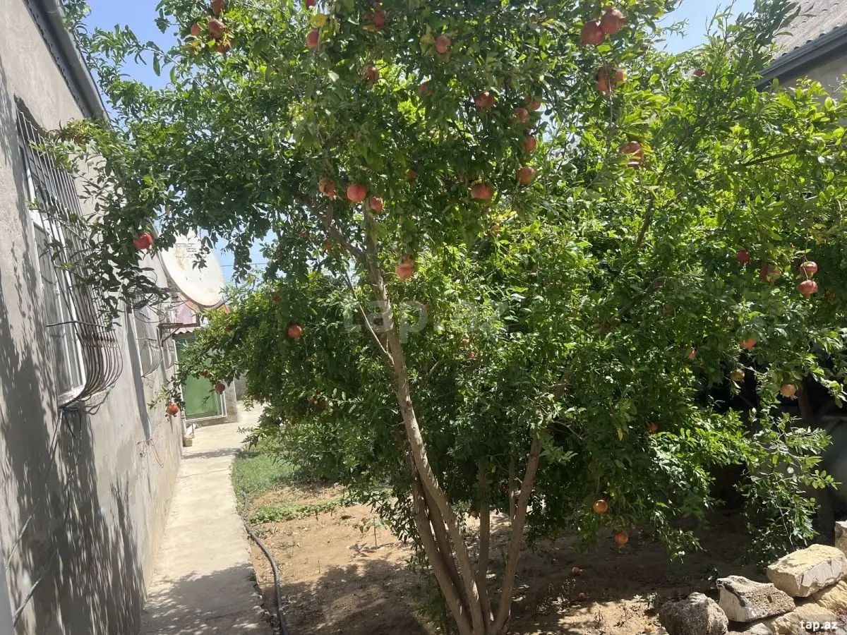 13 500 AZN - 5 otaqlı mənzil, Suraxanı qəs., Suraxanı, Bakı