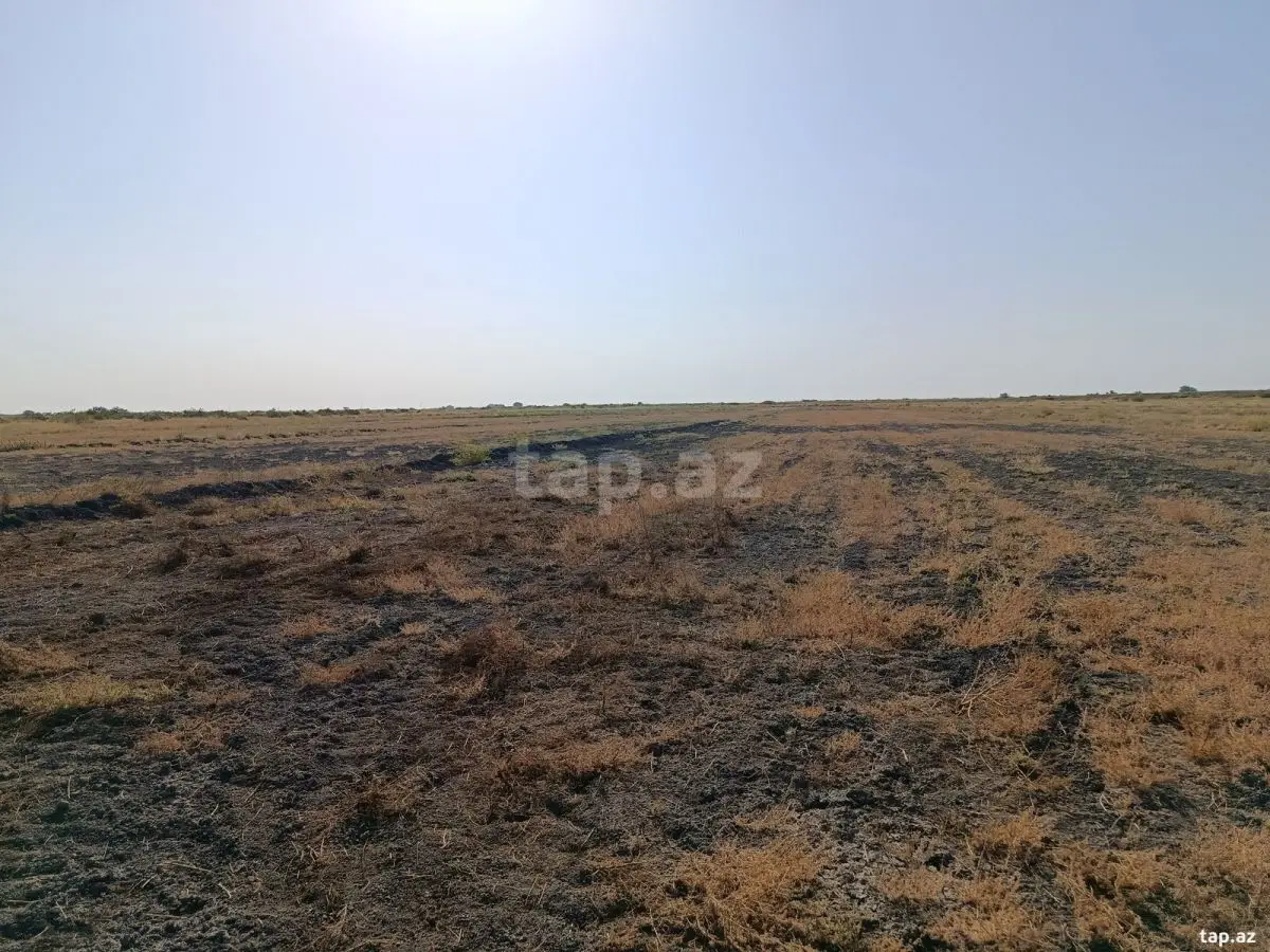 49 000 AZN - 0 m² Obyekt / Ofis , Sabirabad