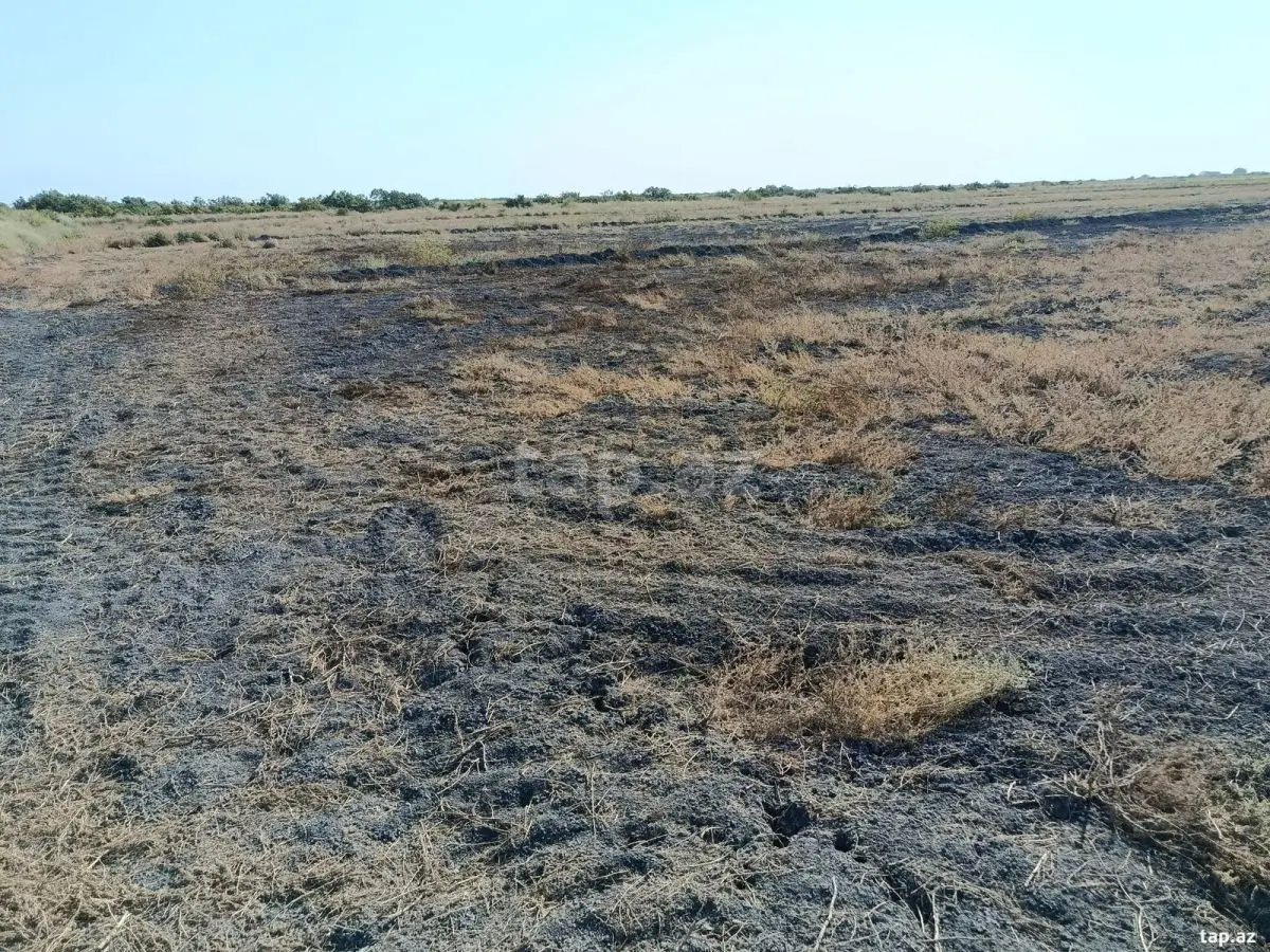 49 000 AZN - 0 m² Obyekt / Ofis , Sabirabad