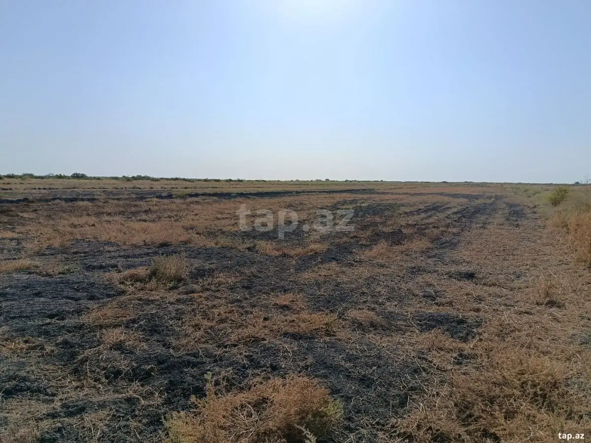 49 000 AZN - 0 m² Obyekt / Ofis , Sabirabad