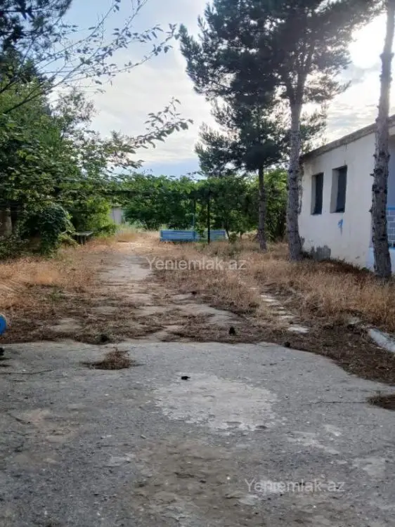 475 000 AZN - 25 sot Torpaq Satılır, Bilgəh qəs., Sabunçu, Bakı