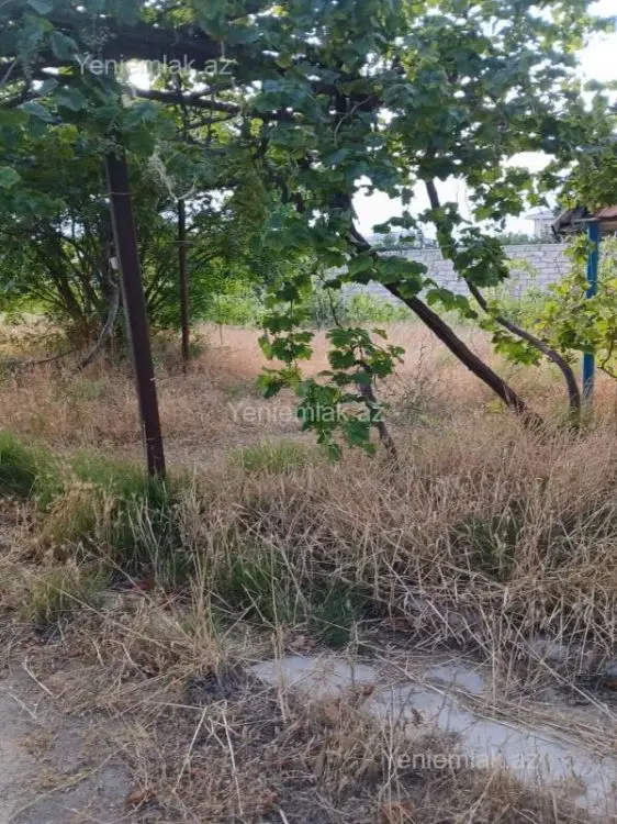 475 000 AZN - 25 sot Torpaq Satılır, Bilgəh qəs., Sabunçu, Bakı