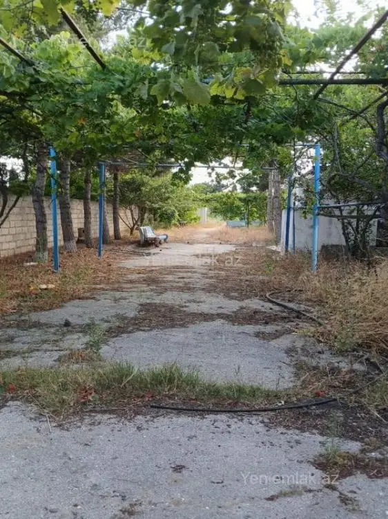 475 000 AZN - 25 sot Torpaq Satılır, Bilgəh qəs., Sabunçu, Bakı