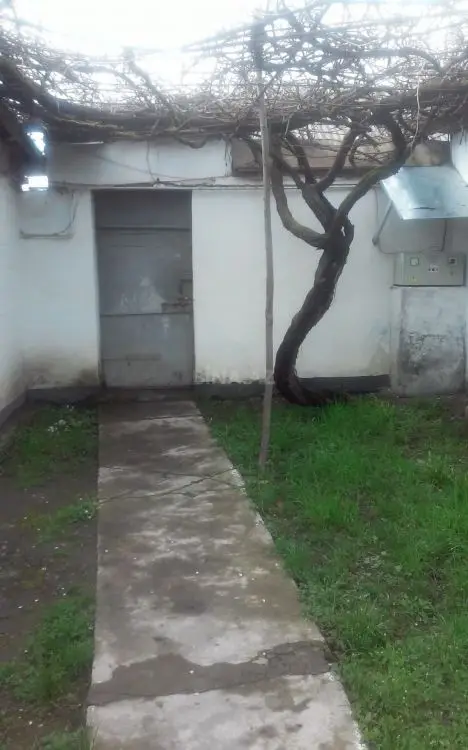360 AZN - 3 otaqlı mənzil Kirayə (aylıq), Qəbələ