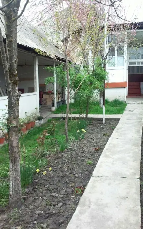 360 AZN - 3 otaqlı mənzil Kirayə (aylıq), Qəbələ