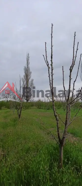 36 000 AZN - 27 sot Torpaq Satılır, Xudat