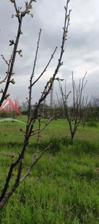 36 000 AZN - 27 sot Torpaq Satılır, Xudat