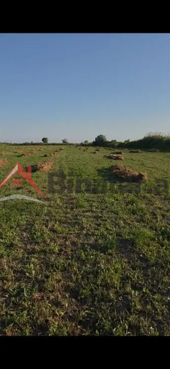 17 000 AZN - 17800 sot Torpaq Satılır, Sabirabad