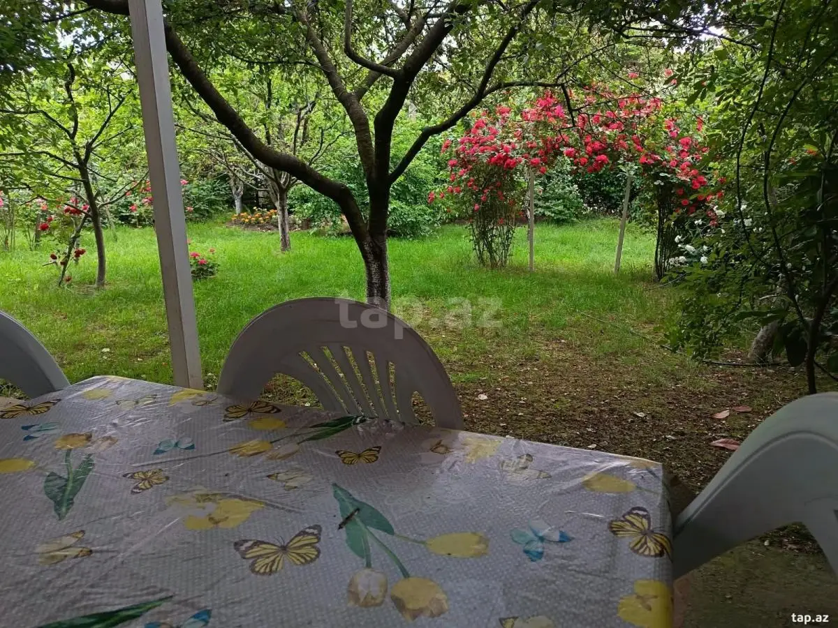 550 AZN - 3 otaqlı mənzil Kirayə (aylıq), Qusar