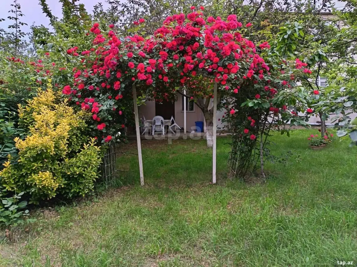 550 AZN - 3 otaqlı mənzil Kirayə (aylıq), Qusar