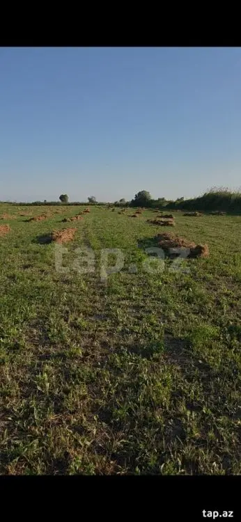 17 000 AZN - 0 m² Obyekt / Ofis , Sabirabad