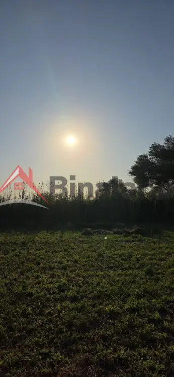 17 000 AZN - 17800 sot Torpaq Satılır, Biləsuvar