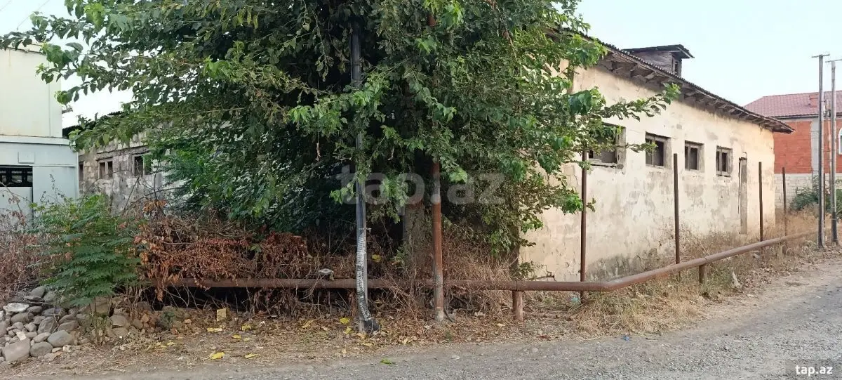 55 000 AZN - 0 m² Obyekt / Ofis , Cəlilabad