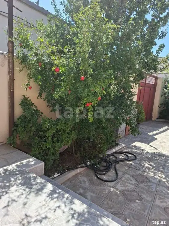 300 AZN - 1 otaqlı mənzil Kirayə (aylıq), Ramana qəs., Sabunçu, Bakı