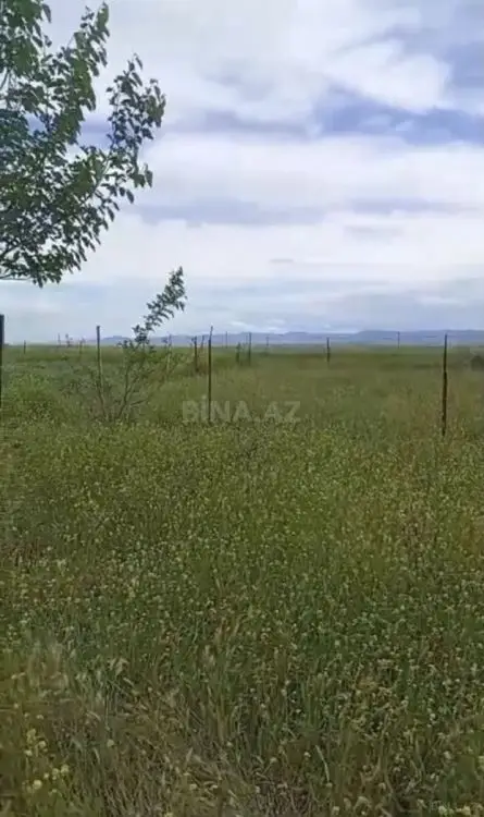 15 999 AZN - 12 sot Torpaq Satılır, Cəlilabad