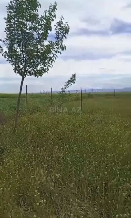 15 999 AZN - 12 sot Torpaq Satılır, Cəlilabad