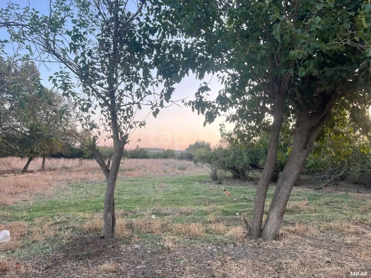 30 000 AZN - 4 otaqlı mənzil , Biləsuvar